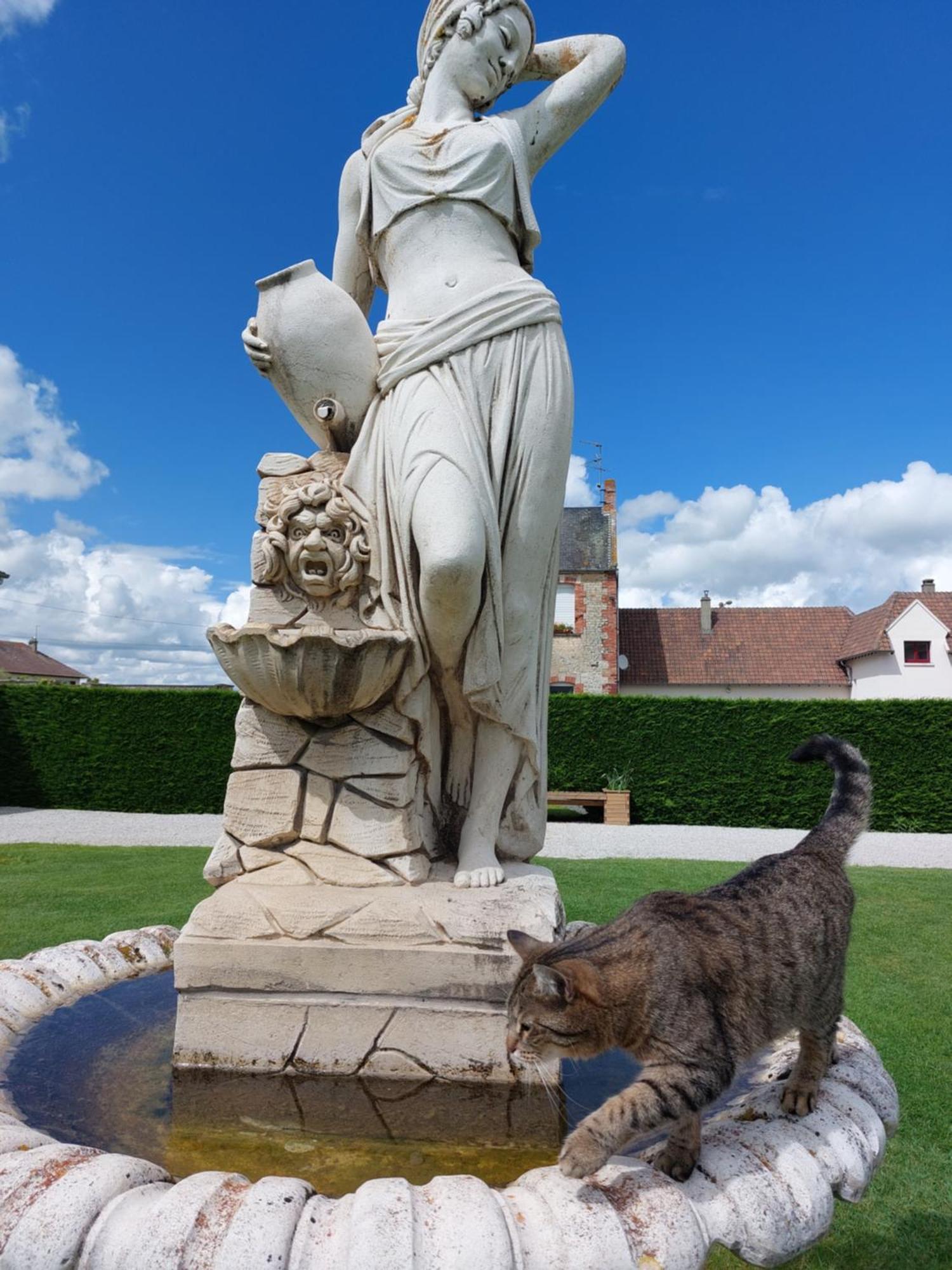 Отель Domaine De Soignolles Экстерьер фото