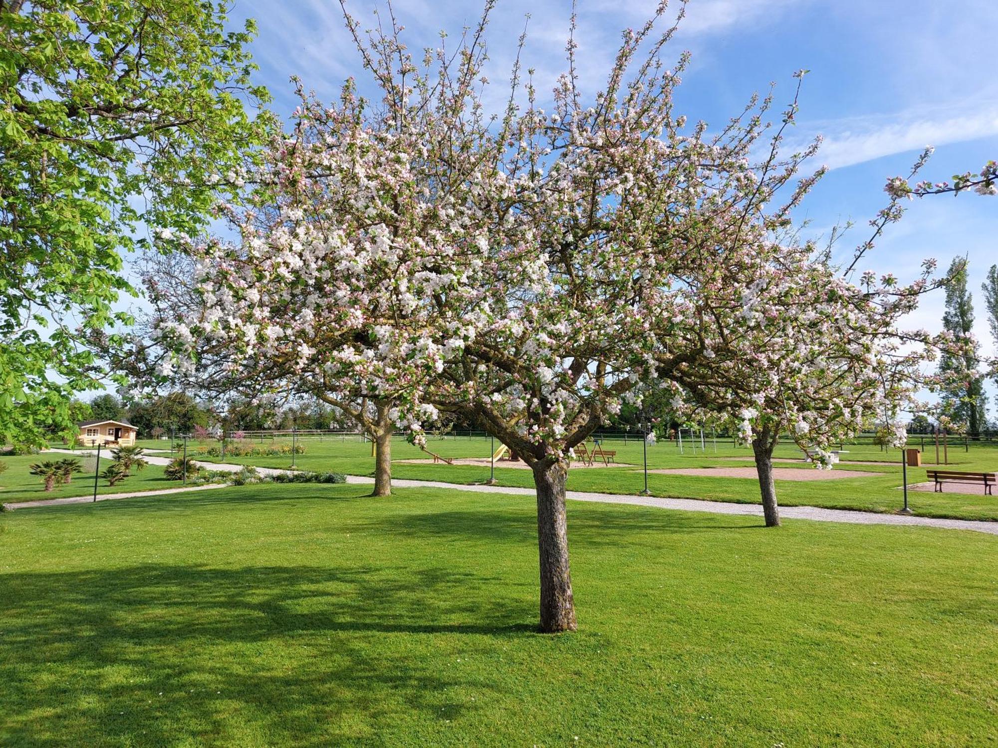 Отель Domaine De Soignolles Экстерьер фото