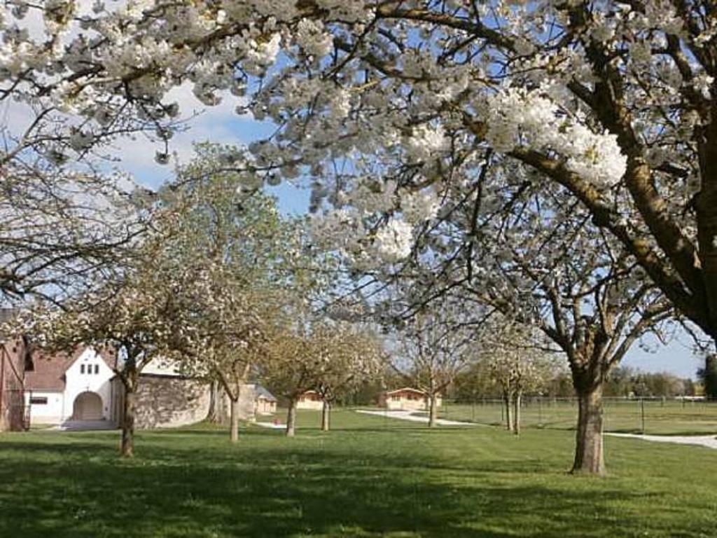 Отель Domaine De Soignolles Экстерьер фото